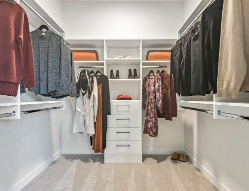 Master Walk-In Closet – McIlroy